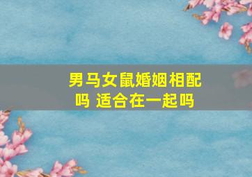 男马女鼠婚姻相配吗 适合在一起吗